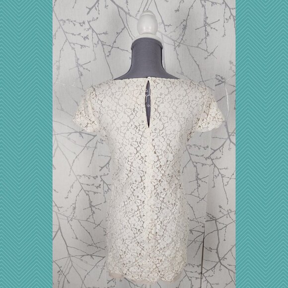 Talula White Ivory Lace Overlay Scoop Neck Sheath Dress - Picture 3 of 4